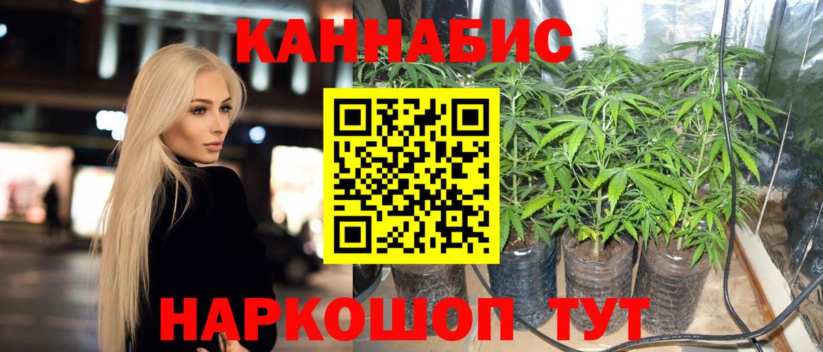 Бошки марихуана SATIVA & INDICA Топки